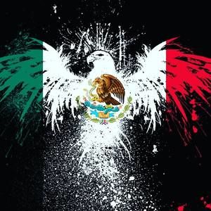 Meet your Posher, Juan